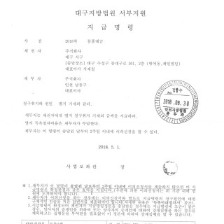 대구민사소송 지급명령결정문 #2